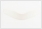 medidu neck brace 4
